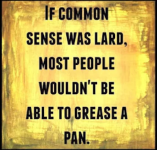 Meme - If common sense was lard.png