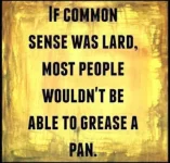 Meme - If common sense was lard.webp