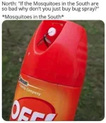 Meme - mosquitoes in the South 2.webp