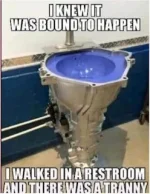 tranny sink.webp