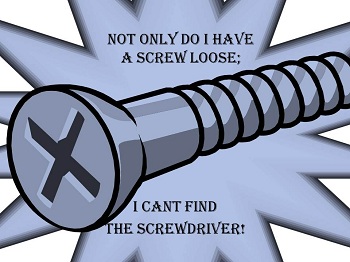 not-only-do-i-have-a-screw-loose.jpg