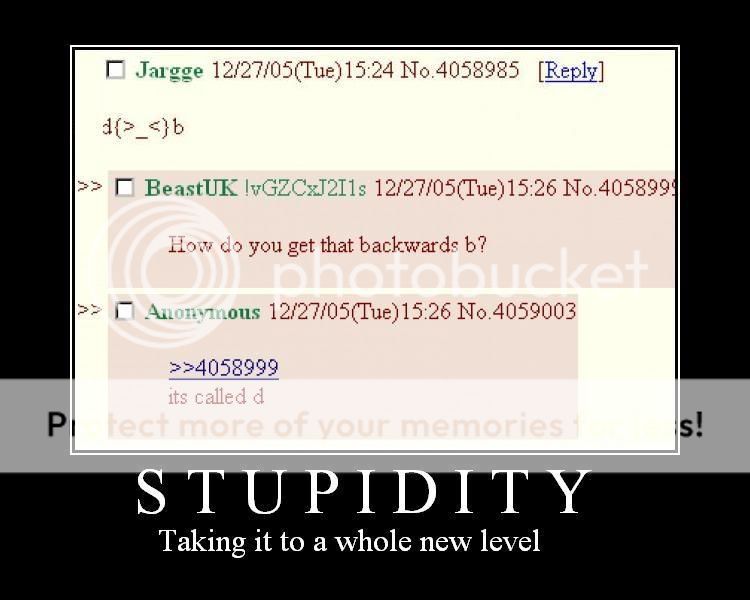 stupidity.jpg