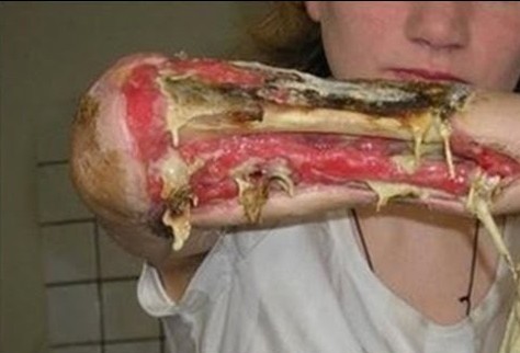 krokodil4-e1380225722332.jpg